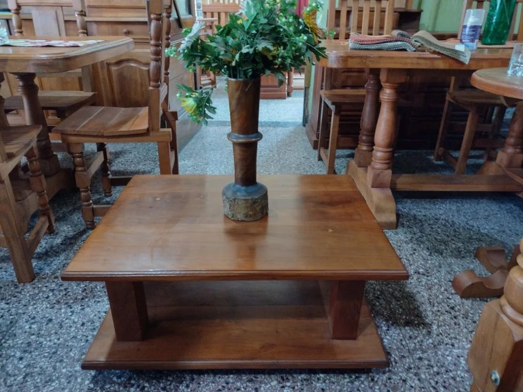 san carlos mesa ratona